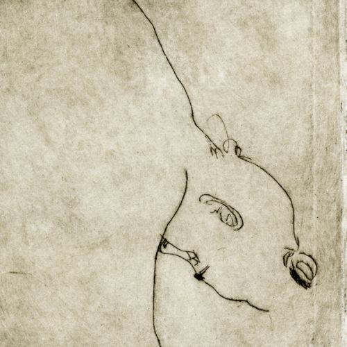 Acrobatics