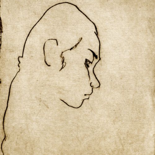 Drawing Nudes