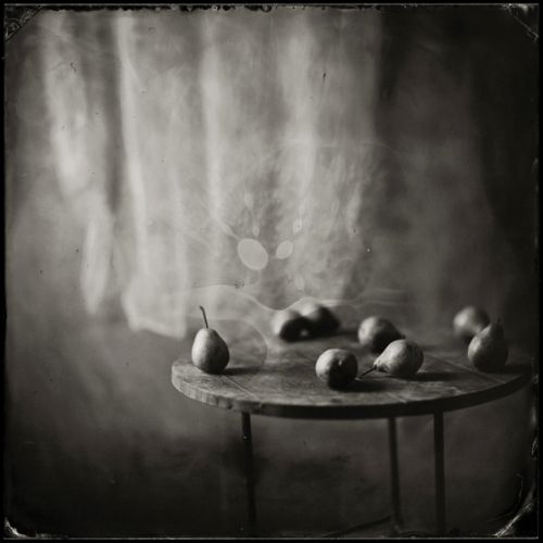 Pears in the Afternoon