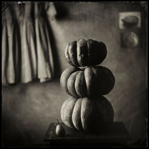 3 Pumpkins and 1 Pear