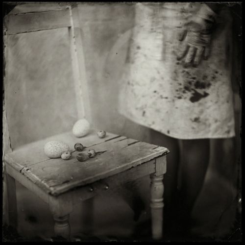 Eggs