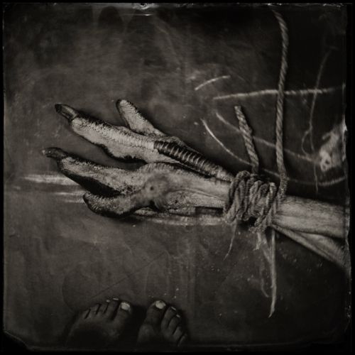 Feet II